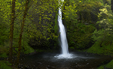 Columbia Gorge Photography Workshop - 5 Days